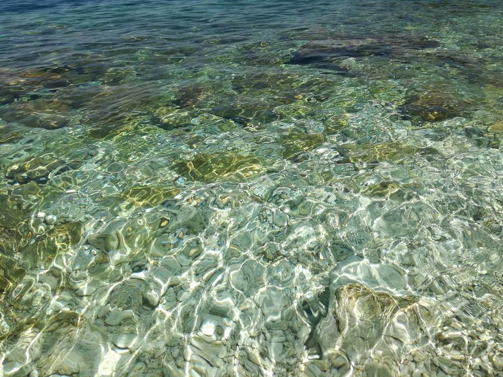 Aneta'S Beach House فلورا المظهر الخارجي الصورة